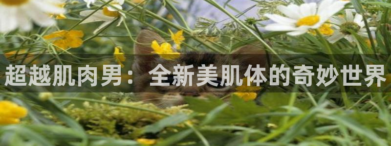 名侦探柯南 樱花动漫：超越肌肉男：全新美肌体的奇妙世界