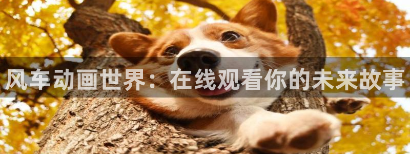 樱花动漫av