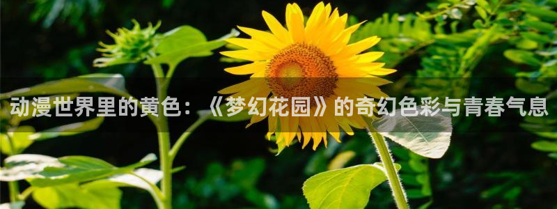 樱花动漫全集哪里看