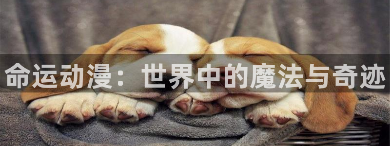 樱花动漫旧版本