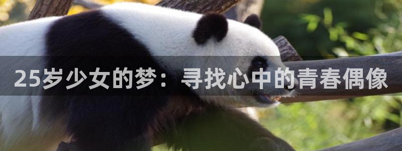 出包王女 樱花动漫