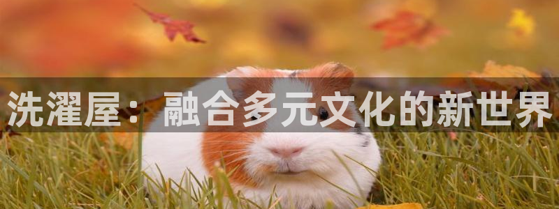 铠甲勇士第一部樱花动漫