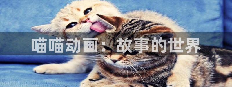 怪医黑杰克樱花动漫