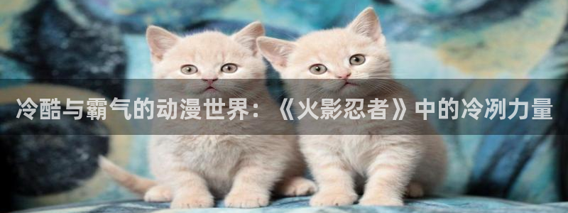 猎龙人拉格纳樱花动漫