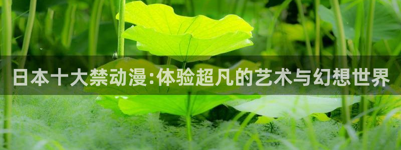 樱花动漫官方官网免费入口