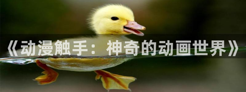 樱花动漫多罗罗：《动漫触手：神奇的动画世界》