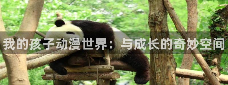 鬼动漫全集樱花动漫：我的孩子动漫世界：与成长的奇妙空间