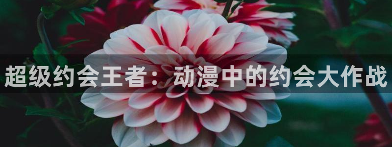 樱花动漫404