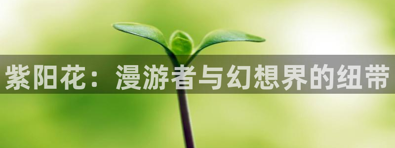 .com樱花动漫