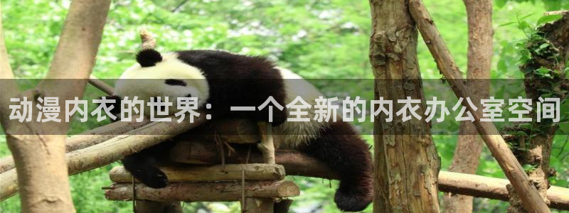 坏蛋联盟樱花动漫